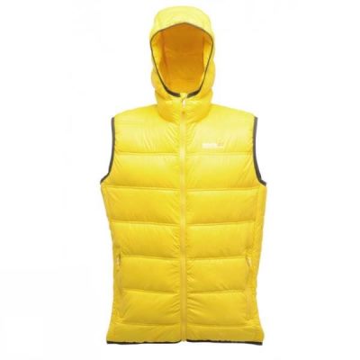 Chaquetas Regatta Summitsphere Bodywarmer Hombre Amarillo - Chile UGL961382